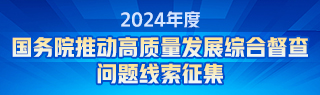 國務院互聯網+督查