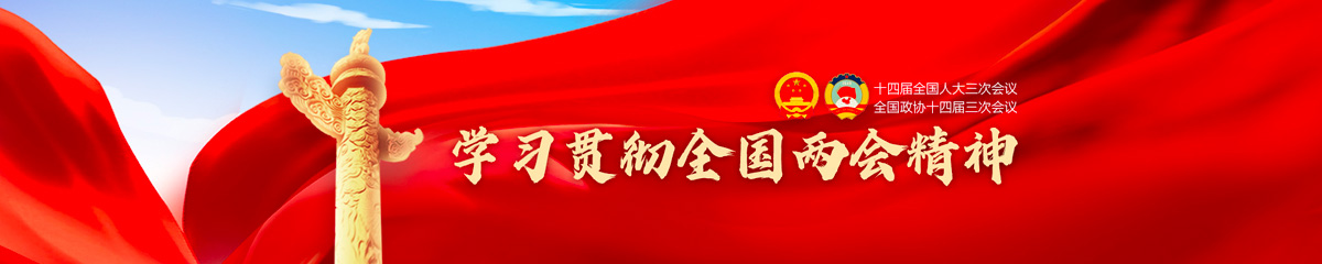 學習貫徹2025全國兩會精神